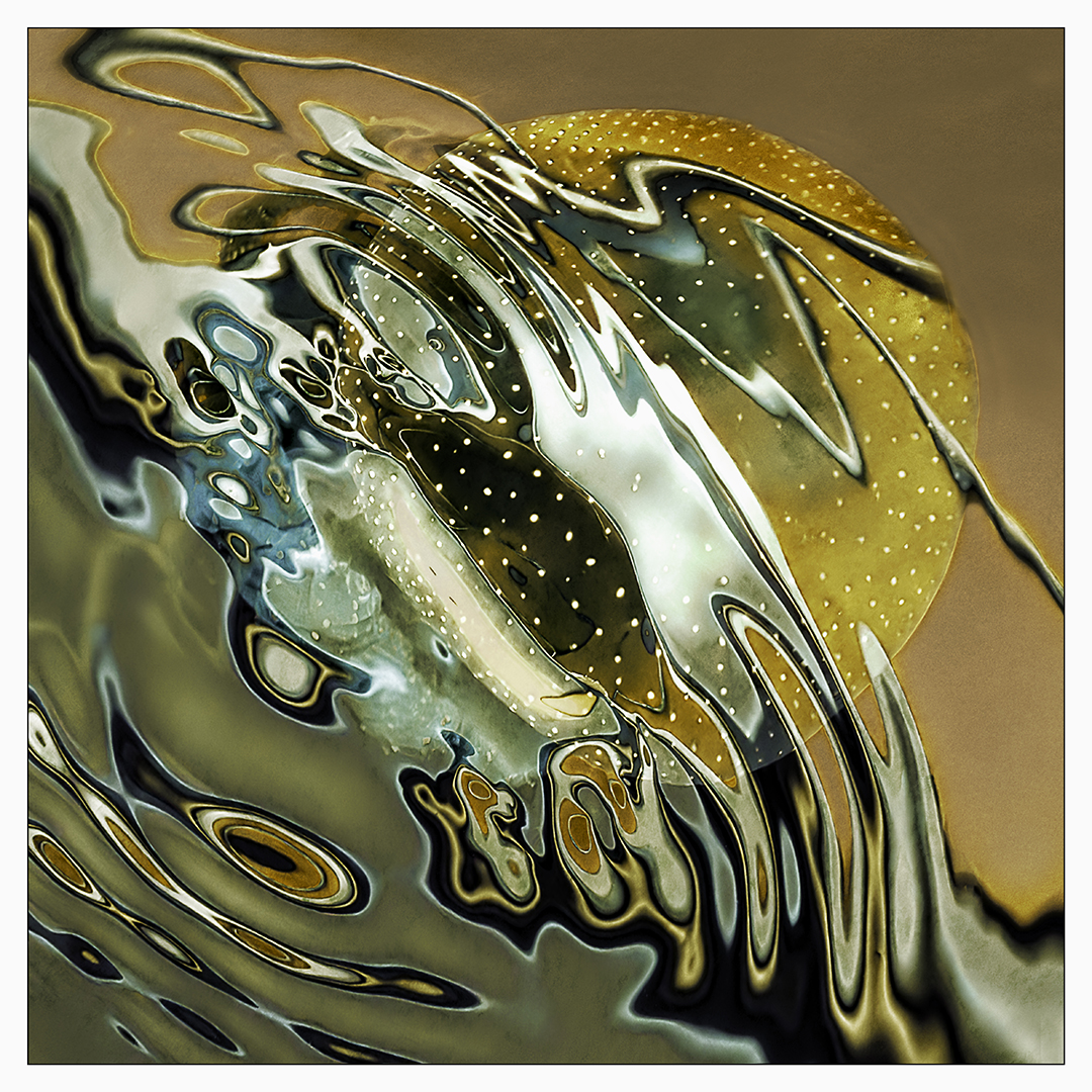 Jelly Fish Meets Reflection